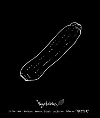 농산물 일러스트 / 손으로 그린 과일과 채소 그림