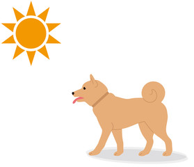 犬の熱中症の症状。