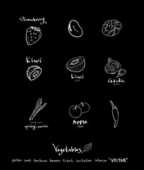 농산물 일러스트 / 손으로 그린 과일과 채소 그림