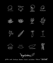 농산물 일러스트 / 손으로 그린 과일과 채소 그림