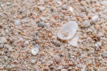 sand sea texture background