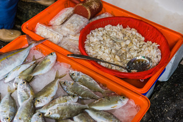 Fish stand in the market - 214415044