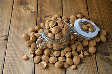 Apricot seeds