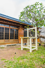 Ancient Japanese style building with garden and tree - 214416605