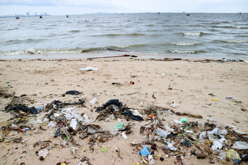 paper box foam plastic and waste pollution on beach