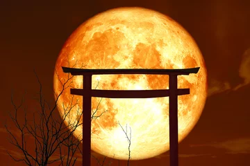 Foto op Plexiglas silhouette torii wooden Japanese pillar stand over sea sunset sky © darkfoxelixir