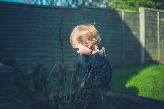 Little toddler in the garden