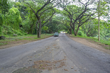 An oldtimer is on roads of Havana. Havana Forest.
