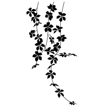 Hanging Plant Silhouette