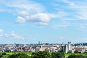 Fototapeta na wymiar 東京郊外の風景　青空と雲と住宅地５