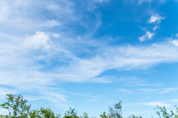 Fototapeta premium 初夏の青空と雲２