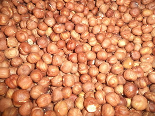 fresh,healthy nuts filbert