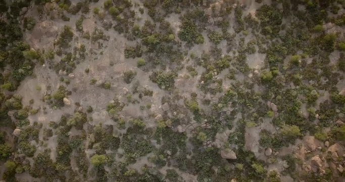 Aerial view of the Sonoran Desert in central Arizona