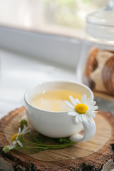 Cup of chamomile tea with chamomile flowers. Cup of organic, anti-inflammatory, antimicrobial herbal tea with fresh chamomile flowers on white background