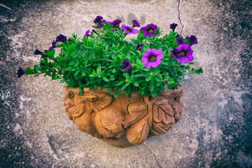 Beautiful background wallpaper image of purple flowers on a vintage vase hanged on a stone wall. Nature details.