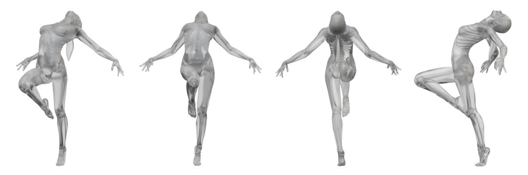 3d rendering illustration of human