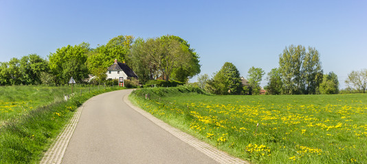 Road leading to the small village of Oostum, Netherlands