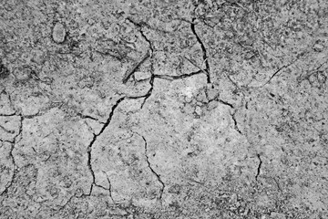 Dry soil in cracks from above