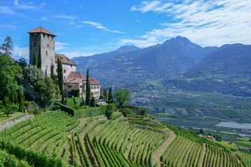 Castel Lebenberg near Merano in South Tirol, Italy - obrazy, fototapety, plakaty