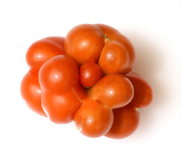 Reisetomate, Tomate, Lycopersicon, esculentum