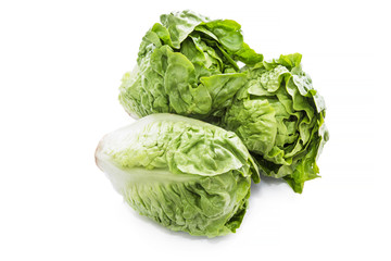 Fototapeta premium green lettuce isolated on white background