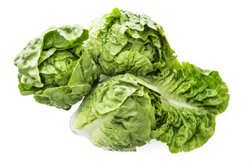 green lettuce isolated on white background