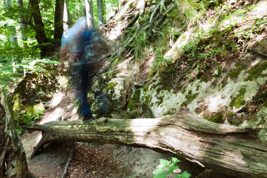Man walking on a log above the gap in forest. Motion blurred man with long exposure shot