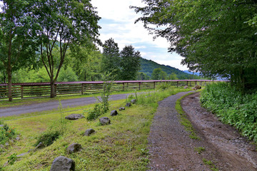A dirt road running near trees on one side and a wooden fence on the other with a beautiful view of the mountain slopes.