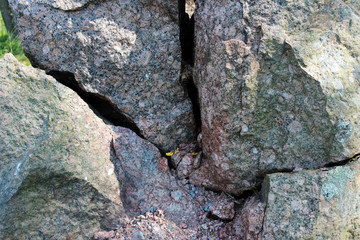 A large chopped granite lies in the forest. Russia, the Leningrad Region.
