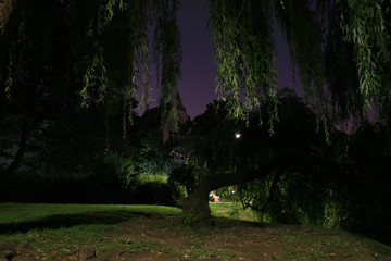 PArk with building