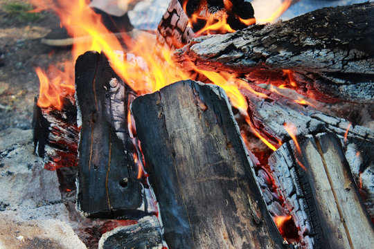 a campfire with an open fire and wood in the forest