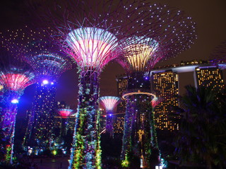 Gardens by the Bay - Singapur