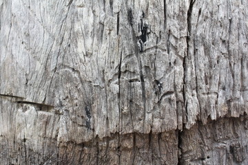 100 year old wood background