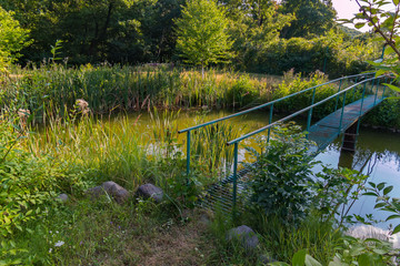 A picturesque small pond with stones and growing grass on the shore and a small iron bridge along which it can be crossed.