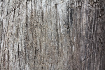 old wood background