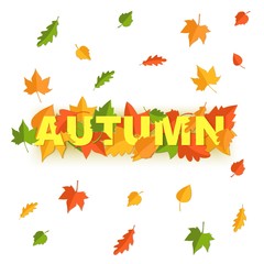 Word AUTUMN composition with green yellow red leaves on white background in paper cut style. Fall leaf realistic yellow letters for design poster, banner, flyer T-shirt printing. Vector illustration.