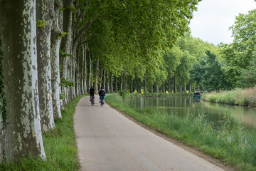 Cyclist along Canal du Midi, near les neuf cluses, Herault Department, France

