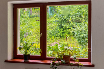 window frame with transparent glasses of green flowers on the windowsill and greenery outside the window