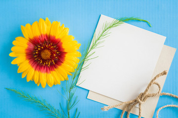 White blank greeting card. Fresh, yellow flower on the blue background. Empty place for inspirational, motivational text or quote.