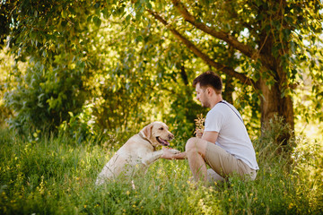 Owner teaches labrador retriever dog in park team give paw. Concept cynologist, lifestyle friendship.