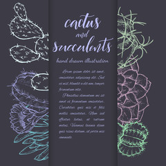 Sketch linear cactus ans succulents