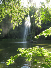 A beautiful view from behind the foliage of the tree on the fountain in the middle of the pond is bubbling upwards with a transparent stream of water in the rays of the summer sun.