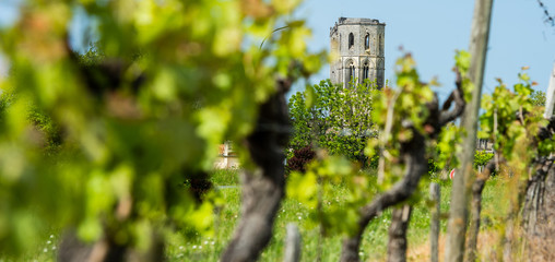 Fototapeta premium Abbey de la Sauve-Majeure, Route to Santiago de Compostela, Gironde, UNESCO