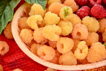 Fresh juicy raspberry yellow color is in a wicker basket on a table with a bright tablecloth