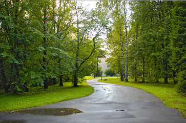 walking path in a spring park with deciduous trees