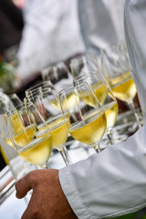 Professional waiter in uniform is serving wine