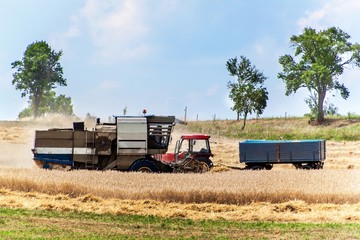 The harvester harvested grain in the Czech Republic. Agricultural machinery. Summer farm work.