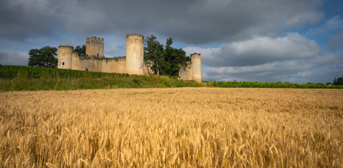 Chateau de Budos and wheat field in summer , Bordeaux, Gironde