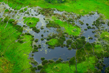Aerial landscape in Okavango delta, Botswana. Lakes and rivers, view from airplane. Green vegetation in South Africa. Trees with water in rainy season.
