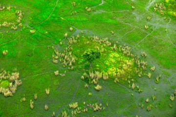 Aerial landscape in Okavango delta, Botswana. Lakes and rivers, view from airplane. Green vegetation in South Africa. Trees with water in rainy season.